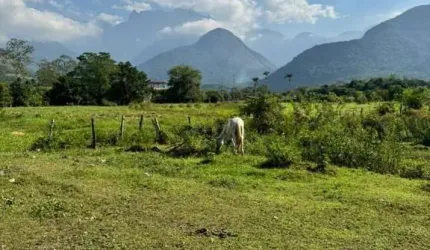 Terreno para Venda em Guapimirim, Cotia