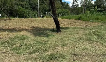 Área 11.000 m²/ Oportunidade/ À 350 m da Rod. Raposo Tavares/ Só R$ 600 mil