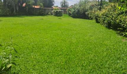 Terreno Plano 1.250 m²/ Ótima localização/ Residencial Alvorada/ Só 250 mil