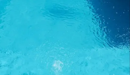 Sobrado á venda com piscina/ 3 dorm./ 10 vagas/ Espaço gourmet/ George Oeterer