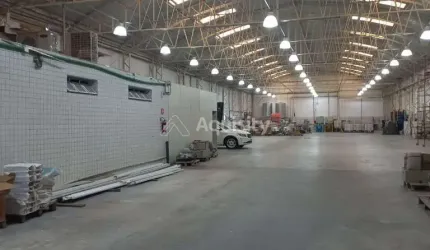 Galpão em Cambuci SP: 1580m² à Venda e Locação