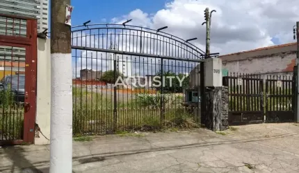 Terreno em Vila Bertioga  -  São Paulo