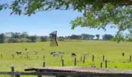 Propriedade Rural à venda, Centro - Cruzeiro do Oeste/PR