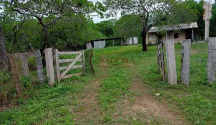 Fazenda à venda, ZONA RURAL - Poconé/MT