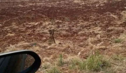 ÁREA PARA LOTEAMENTO EM ARAPONGAS - PR