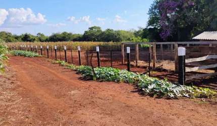 Sítio a venda em Maringá - Paraná