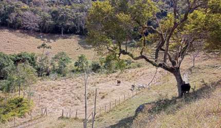 Chácara / sítio com 2 quartos à venda no Centro, Paraibuna  por R$ 500.000