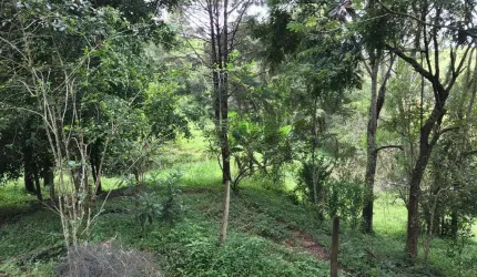 Chácara / sítio com 2 quartos à venda no Centro, Jambeiro  por R$ 950.000