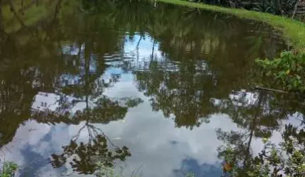 Chácara / sítio com 1 quarto à venda em Santana, São José dos Campos  por R$ 2.750.000