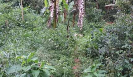 Chácara / sítio com 1 quarto à venda no São Benedito, Monteiro Lobato  por R$ 270.000
