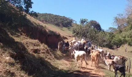 Fazenda com 2 salas à venda no Centro, Cunha  por R$ 5.180.000