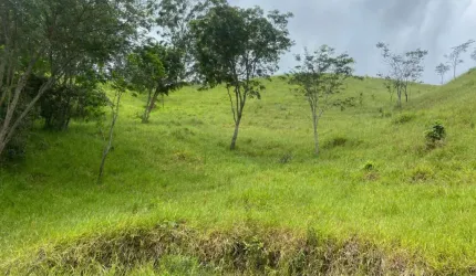 Chácara / sítio à venda no Buquirinha II, São José dos Campos  por R$ 250.000