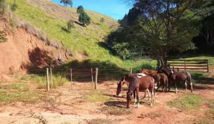 Chácara / sítio com 1 quarto à venda no Turvo, São José dos Campos  por R$ 1.600.000
