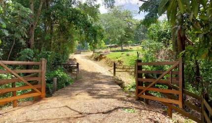 Chácara / sítio à venda na Propriedade Rural, S/N, Zona Rural, Jacutinga por R$ 750.000