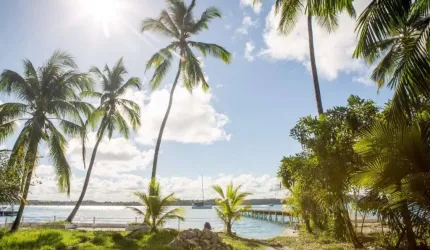 Chácara / sítio com 4 quartos à venda na Campinho, Barra Grande, 01, Campinho, Maraú, 2347 m2 por R$ 2.000.000