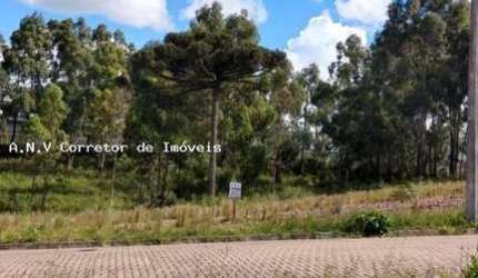Terreno para Venda em Caxias do Sul, Serrano