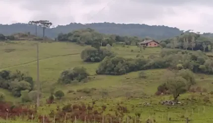 Fazenda para Venda em Caxias do Sul, Mulada, 3 dormitórios, 1 suíte, 1 banheiro, 3 vagas