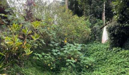 Terreno à venda na Rua Jacob Eisenhuth, --, Atiradores, Joinville por R$ 1.400.000