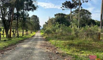Terreno à venda na Otto Zschoerper, --, Campestre, Campo Alegre por R$ 750.000