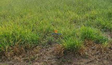 Lote com 450,00m² à venda no Condomínio Residencial Village Campo Novo