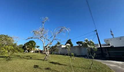 Terreno à Venda em Alto Mundaí - Porto Seguro por R$420.000