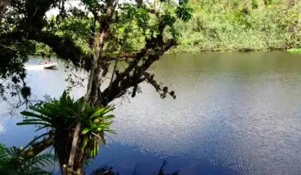 Chácara em Praia de Leste, Preço Imperdível e Fundos para o Rio Guaraguaçu