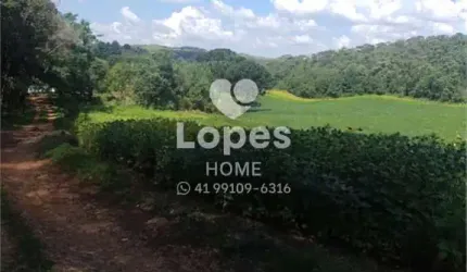 Terreno à venda na Rodovia dos Minérios, 7988, Tranqueira, Almirante Tamandaré, 14519 m2 por R$ 3.000.000