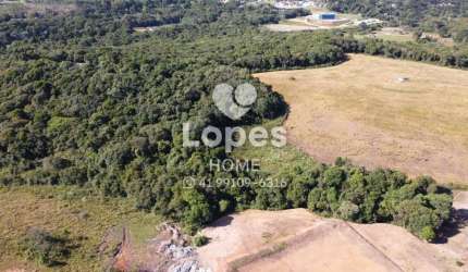 Terreno à venda na Rua Maria Dalprá Berlesi, 102, Canguiri, Colombo, 20000 m2 por R$ 3.000.000