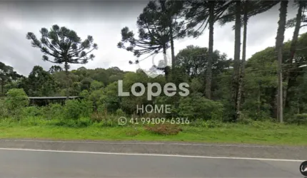 Terreno comercial à venda na Pr-090 - Estrada do Cerne, Bateias, Campo Largo, 144200 m2 por R$ 980.000