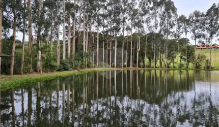 Terreno à venda na Rua Osmário de Oliveira Bastos, 5, Vila Fuck, Piraquara, 39051 m2 por R$ 5.600.000