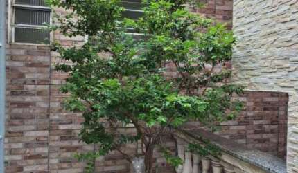 Casa com 1 dormitório para alugar, 40 m² por R$ 1.200,00/mês - Vila Nhocune - São Paulo/SP