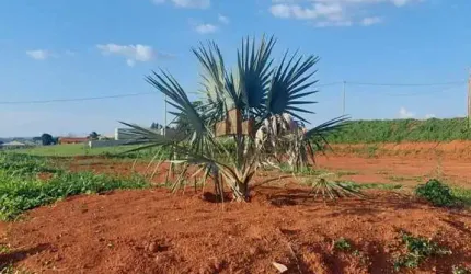 Casa em condomínio fechado com 4 quartos à venda na Rua1, 33, Serra Azul, Mateus Leme por R$ 930.000