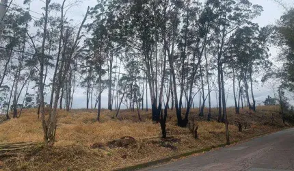 Terrenos para venda em Jundiaí no bairro Caxambú