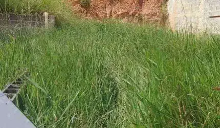 Terreno à venda, 140 m² por R$ 160.000,00 - Alto dos Ypes - São José dos Campos/SP
