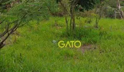 Terreno em Cajamar, Terreno no Polvilho em Cajamar/SP