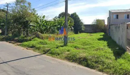 Terreno para Venda em Pinhais, Weissópolis