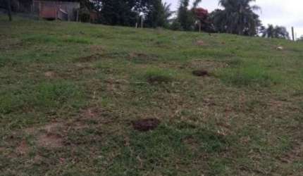 Terreno Padrão em Jacareí