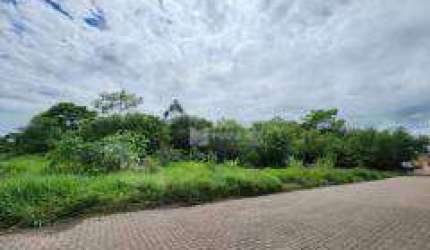 Terreno à venda, 12030 m² por R$ 3.575.000,00 - Passo do Feijó - Alvorada/RS