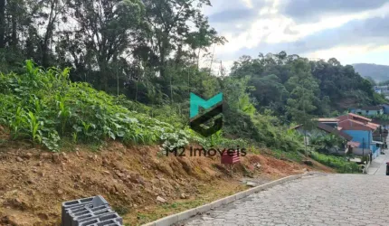 Terreno à venda, 22.975,92 m² por R$ 475.000 - Itoupava Central - Blumenau/SC