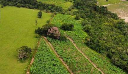 Chácara / sítio à venda na Angatuba, Centro, Angatuba por R$ 4.200.000