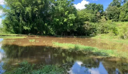 Chácara / sítio à venda na Estrada vicinal, Centro, Capela do Alto por R$ 550.000