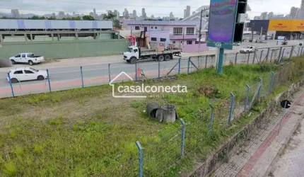 Terreno para alugar em Porto Belo, Perequê, 1509m²