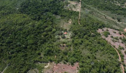 Chácara com 7,85 hectares