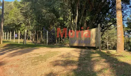 Chácara / sítio à venda na Rua Paulo Torques, 2356, Santa Gema, Colombo, 31563 m2 por R$ 1.100.000