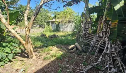 Terreno em Xerem com 220m² plano