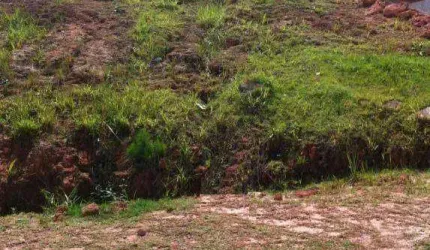 Terreno à venda, 585 m² por R$ 300.000,00 - Chácara do Remanso Gl Um - Vargem Grande Paulista/SP