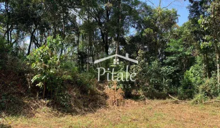Terreno à venda, 5000 m² por R$ 150.000,00 - Jardim Arpoador - Francisco Morato/SP
