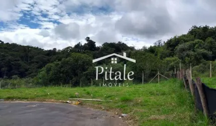 Terreno à venda, 244 m² por R$ 282.000,00 - Jardim do Rio Cotia - Cotia/SP