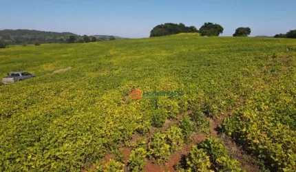 Fazenda à venda, 275 alqueires por R$ 46.750.000,00 - Zona Rural  - PR.