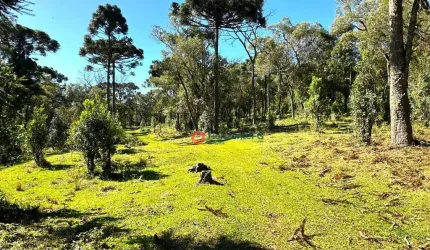Chácara à venda, 29,03 alqueires por R$ 2.200.000 - Guará - Guarapuava/PR
